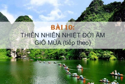 Trắc nghiệm Địa Lý 12 Bài 10 (có đáp án): Thiên nhiên nhiệt đới...