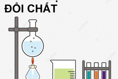 Bài tập trắc nghiệm hóa 8 bài 12 - Sự biến đổi chất (Có đáp án)