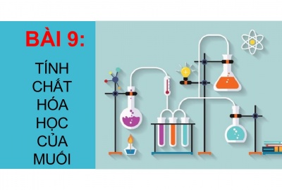 Trắc nghiệm Hóa 9 Bài 9 (CÓ ĐÁP ÁN): Tính chất hóa học của muối