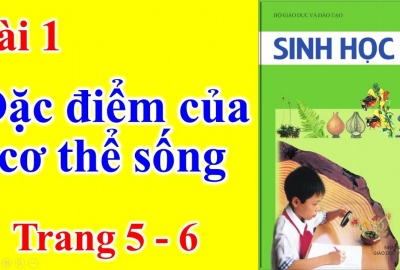 Trắc nghiệm Sinh 6 Bài 1: Đặc điểm của cơ thể sống (Phần 2)