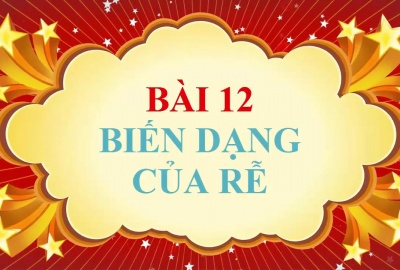 Trắc nghiệm Sinh 6 Bài 12: Biến dạng của rễ (Phần 1)