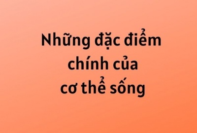 Trắc nghiệm Sinh 6 Bài 1: Đặc điểm của cơ thể sống (Phần 1)