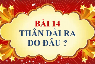 Trắc nghiệm Sinh 6 Bài 14: Thân dài ra do đâu ? (Phần 1)