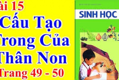 Trắc nghiệm Sinh 6 Bài 15: Cấu tạo trong của thân non (Phần 1)