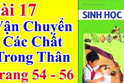 Trắc nghiệm Sinh 6 Bài 17: Vận chuyển các chất trong thân (Phần 2)