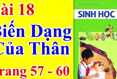Trắc nghiệm Sinh 6 Bài 18: Biến dạng của thân (Phần 1)