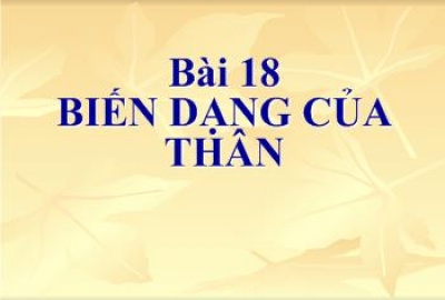 Trắc nghiệm Sinh 6 Bài 18: Biến dạng của thân (Phần 2)