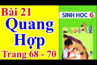 Trắc nghiệm Sinh 6 Bài 21: Quang hợp (Phần 2)