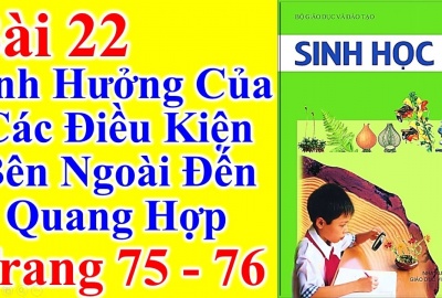 Trắc nghiệm Sinh 6 Bài 22: Ảnh hưởng của các điều kiện bên ngoài đến quang hợp, ý nghĩa của quang hợp (Phần 1)