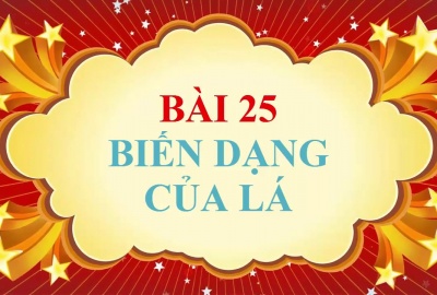 Trắc nghiệm Sinh 6 Bài 25: Biến dạng của lá (Phần 1)