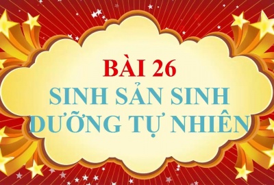 Trắc nghiệm Sinh 6 Bài 26: Sinh sản sinh dưỡng tự nhiên (Phần 1)