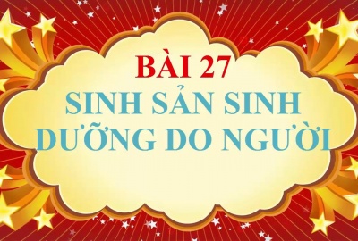 Trắc nghiệm Sinh 6 Bài 27: Sinh sản sinh dưỡng do người (Phần 1)