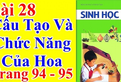 Trắc nghiệm Sinh 6 Bài 28: Cấu tạo và chức năng của hoa (Phần 2)