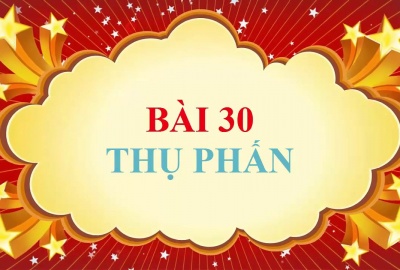 Trắc nghiệm Sinh 6 Bài 30: Thụ phấn (Phần 1)