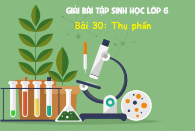 Trắc nghiệm Sinh 6 Bài 30: Thụ phấn (Phần 2)