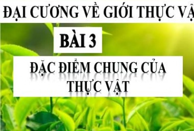 Trắc nghiệm Sinh 6 Bài 31: Thụ tinh kết quả và tạo hóa (Phần 1)