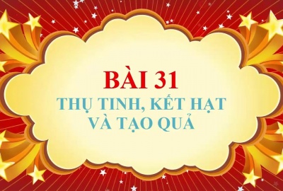 Trắc nghiệm Sinh 6 Bài 31: Thụ tinh kết quả và tạo hóa (Phần 2)