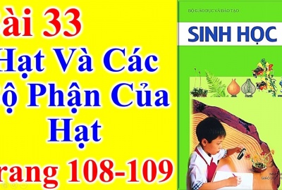 Trắc nghiệm Sinh 6 Bài 33: Hạt và các bộ phận của hạt (Phần 2)