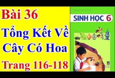 Trắc nghiệm Sinh 6 Bài 36: Tổng kết về cây có hoa (Phần 2)