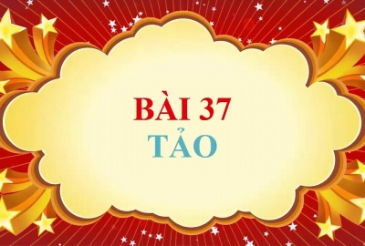 Trắc nghiệm Sinh 6 Bài 37: Tảo (Phần 1)