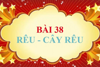 Trắc nghiệm Sinh 6 Bài 38: Rêu - cây rêu (Phần 1)