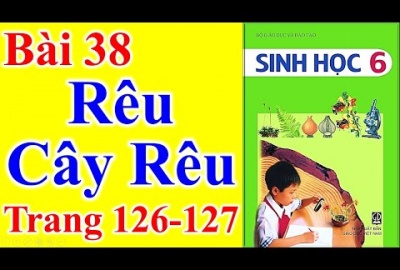 Trắc nghiệm Sinh 6 Bài 38: Rêu - cây rêu (Phần 2)