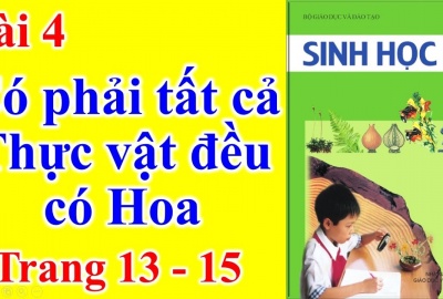 Trắc nghiệm Sinh 6 bài 4: Có phải thực vật đều có hoa? (Phần 1)
