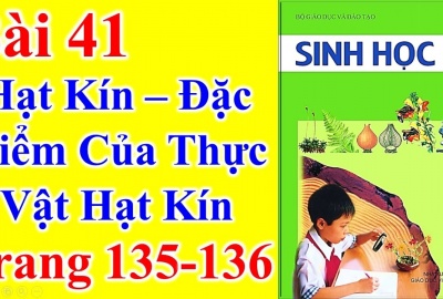 Trắc nghiệm Sinh 6 Bài 41: Hạt kín - Đặc điểm của thực vật Hạt kín (Phần 2)