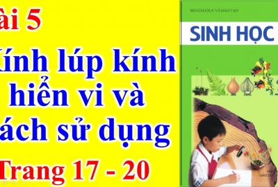 Trắc nghiệm Sinh 6 Bài 5: Kính lúp, kính hiển vi và cách sử dụng (Phần 1)