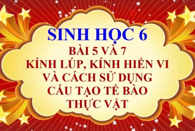 Trắc nghiệm Sinh 6 Bài 5: Kính lúp, kính hiển vi và cách sử dụng (Phần 2)