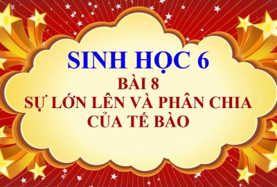 Trắc nghiệm Sinh 6 Bài 8: Sự lớn lên và phân chia của tế bào (Phần 1)