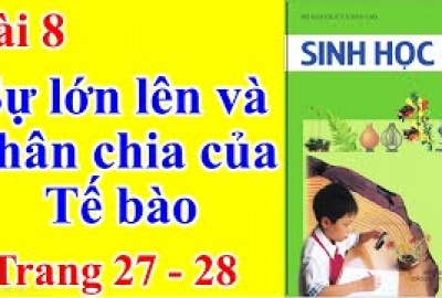 Trắc nghiệm Sinh 6 Bài 8: Sự lớn lên và phân chia của tế bào (Phần 2)