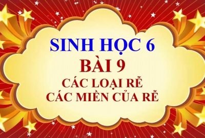 Trắc nghiệm Sinh 6 Bài 9: Các loại rễ, các miền của rễ (Phần 2)