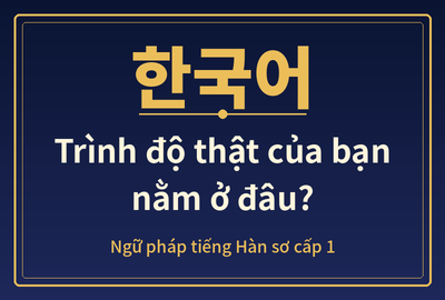 Bài kiểm tra trắc nghiệm ngữ pháp tiếng Hàn sơ cấp 1 (Đề 15)