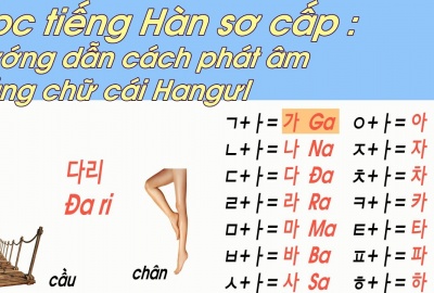 Phần 61: Từ vựng tiếng Hàn động từ thường dùng