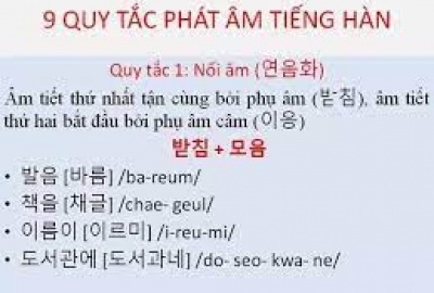 Phần 62: Từ vựng tiếng Hàn động từ thường dùng