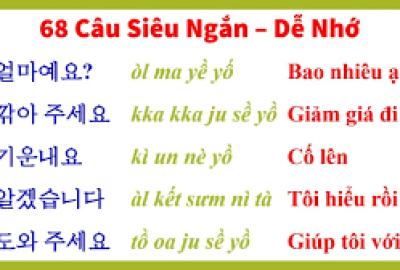 Phần 67: Từ vựng tiếng Hàn động từ thường dùng