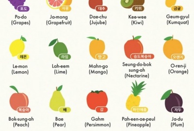 Phần 69: Từ vựng tiếng Hàn động từ thường dùng