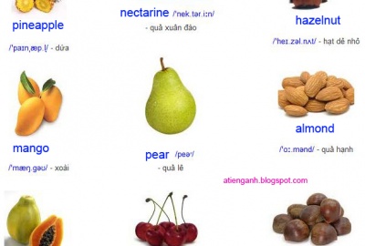 Phần 68: Từ vựng tiếng Hàn động từ thường dùng