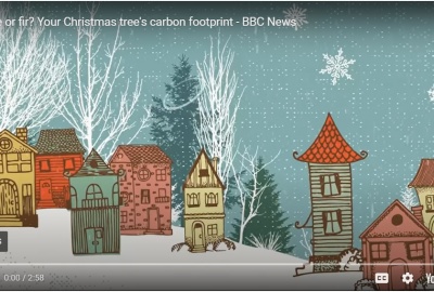 Fake or fir? Your Christmas tree's carbon footprint