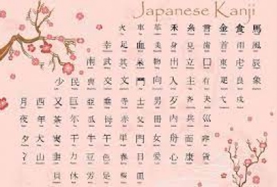 Luyện thi ngữ pháp N2 - Phần 19