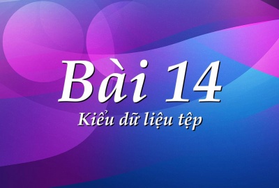 Trắc nghiệm Tin học 11 Bài 14 (có đáp án): Kiểu dữ liệu tệp