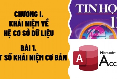 Trắc nghiệm Tin học 12 Bài 1 (có đáp án): Một số khái niệm cơ bản