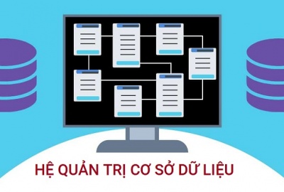 Trắc nghiệm Tin học 12 Bài 2 (có đáp án): Hệ quản trị cơ sở dữ liệu