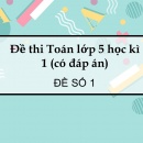 Đề thi Toán lớp 5 học kì 1 năm 2021 (có đáp án)